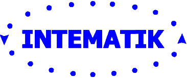 INTEMATIK Logo